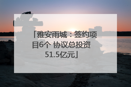 雅安雨城：签约项目6个 协议总投资51.5亿元